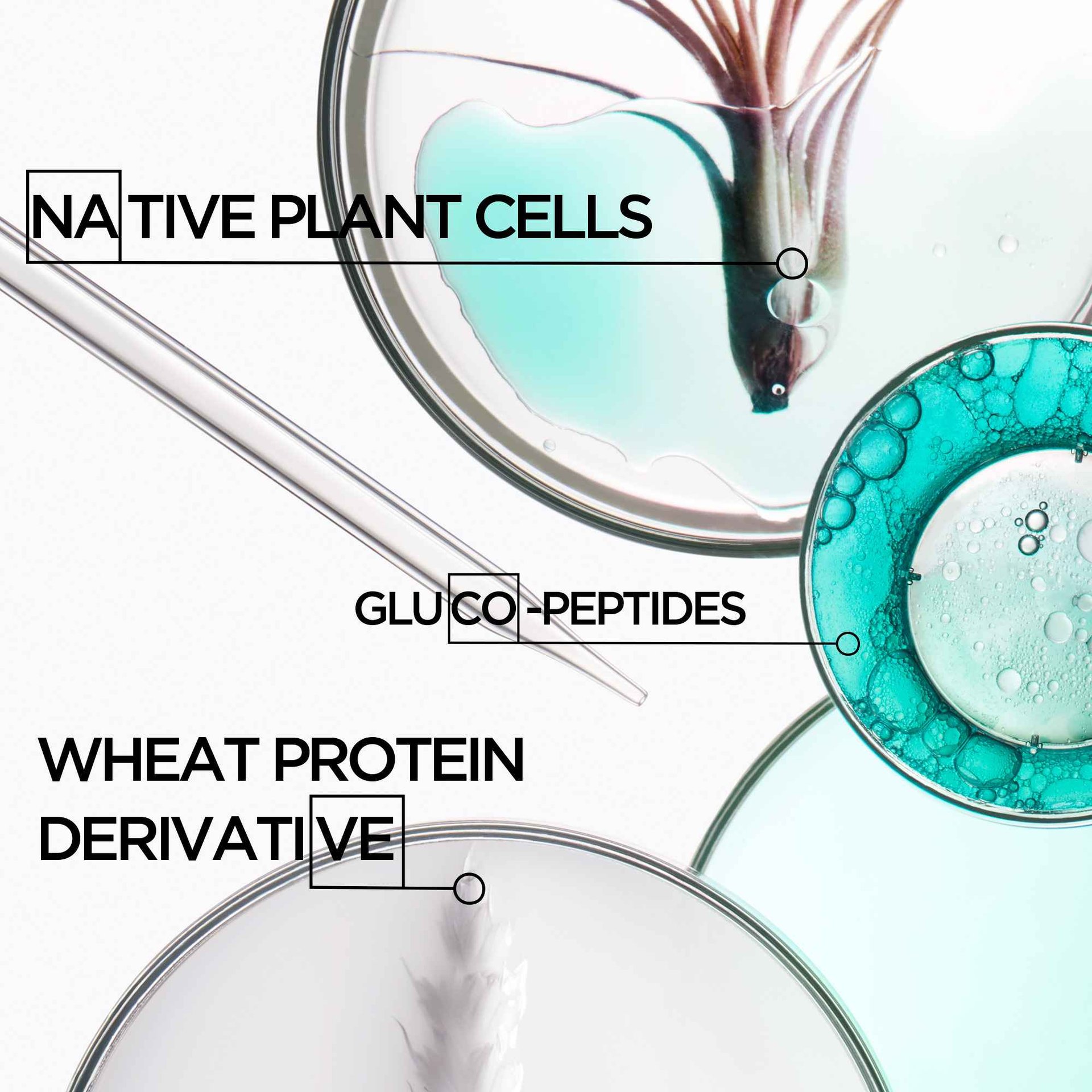 Resistance Ingredients